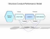Structure-Conduct-Performance Model