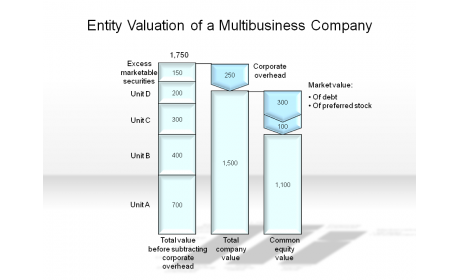 Entity Valuation of a Multibusiness Company