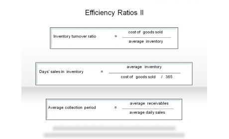 Efficiency Ratios II