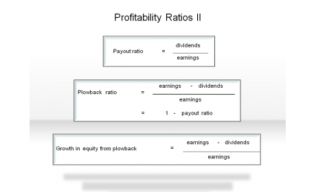 Profitability Ratios II