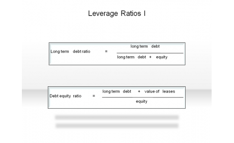 Leverage Ratios I