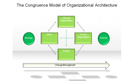The Congruence Model of Organizational Architecture