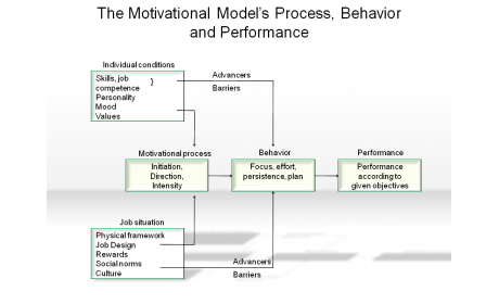 The Motivational Model’s Process, Behavior and Performance
