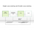 Single Loop Learning and Double Loop Learning