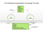 The Individual-Organization Exchange Process