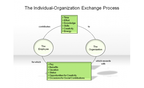 The Individual-Organization Exchange Process
