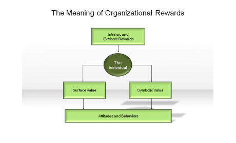 The Meaning of Organizational Rewards