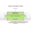 A Basic Organization Model