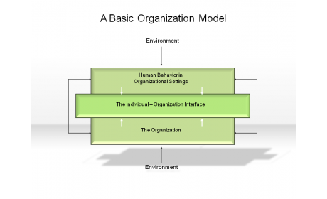 A Basic Organization Model