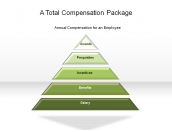 A Total Compensation Package