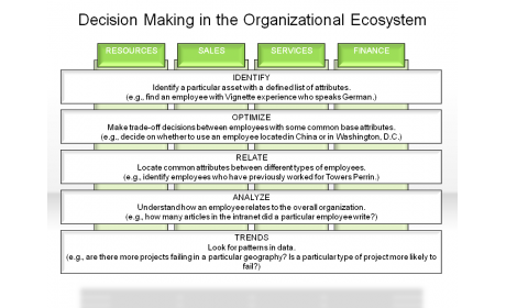 Decision Making in the Organizational Ecosystem