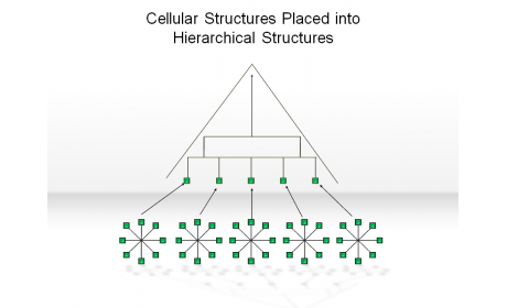 Cellular Structures Placed into Hierarchical Structures