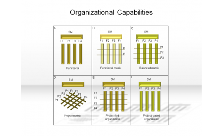 Organizational Capabilities