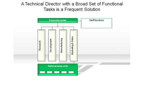 A Technical Director with a Broad Set of Functional Tasks is a Frequent Solution