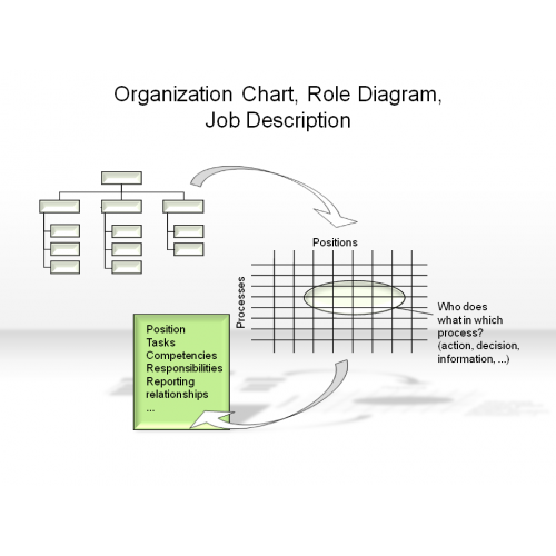 Job Description Organizational Chart