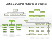 Functional, Divisional, Multidivisional Structures