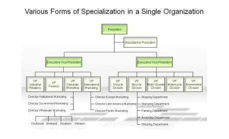 Various Forms of Specialization in a Single Organization