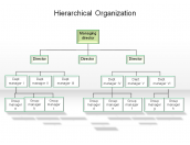 Hierarchical Organization