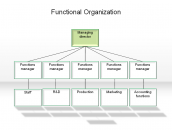 Functional Organization
