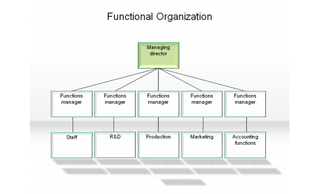 Functional Organization
