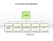 Functional Specialization