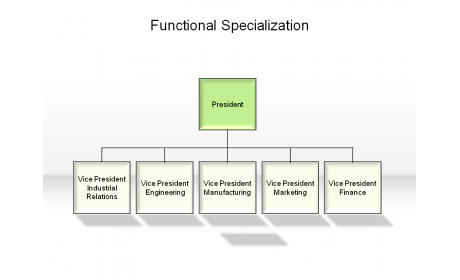 Functional Specialization