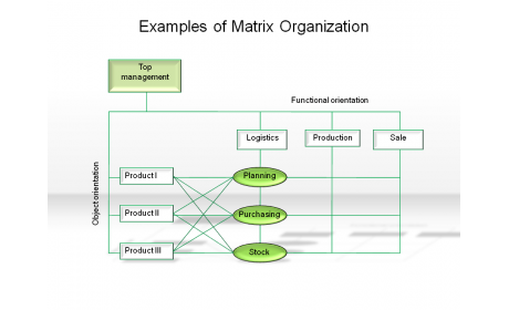 Examples of Matrix Organization