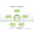 Multiform Organization