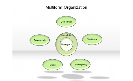 Multiform Organization
