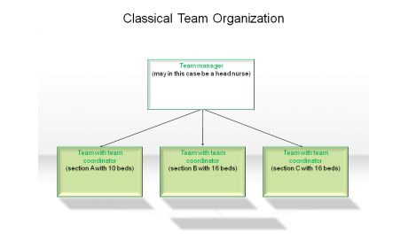 Classical Team Organization