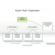 Expert Team Organization