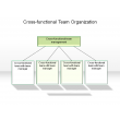 Cross-functional Team Organization