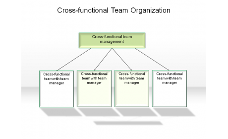 Cross-functional Team Organization
