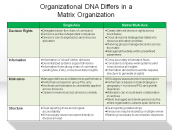 Organizational DNA Differs in a Matrix Organization