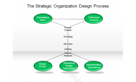 The Strategic Organization Design Process