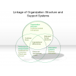 Linkage of Organization Structure and Support Systems