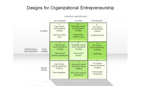 Designs for Organizational Entrepreneurship