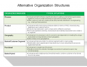 Alternative Organization Structures
