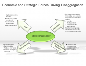 Economic and Strategic Forces Driving Disaggregation