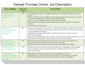 Sample Process Owner Job Description
