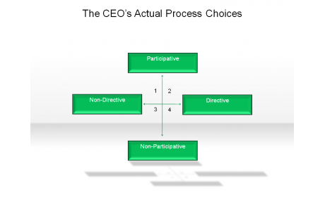 The CEO's Actual Process Choices