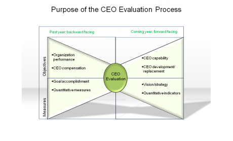 Purpose of the CEO Evaluation Process