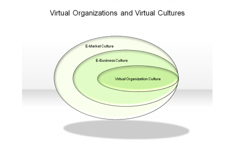 Virtual Organizations and Virtual Cultures