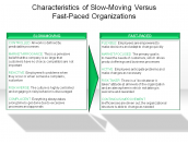 Characteristics of Slow-Moving Versus Fast-Paced Organizations