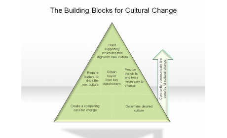 The Building Blocks for Cultural Change