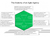 The Anatomy of an Agile Agency