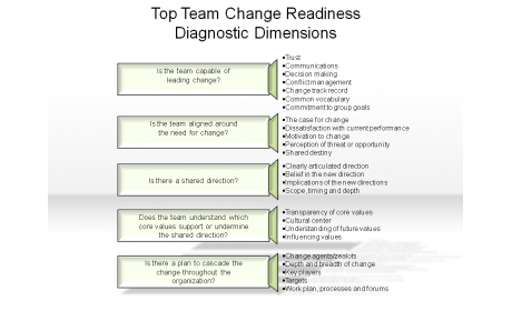 Top Team Change Readiness Diagnostic Dimensions