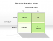 The Initial Decision Matrix