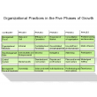 Organizational Practices in the Five Phases of Growth
