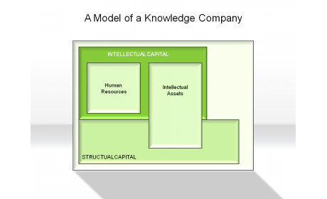 A Model of a Knowledge Company